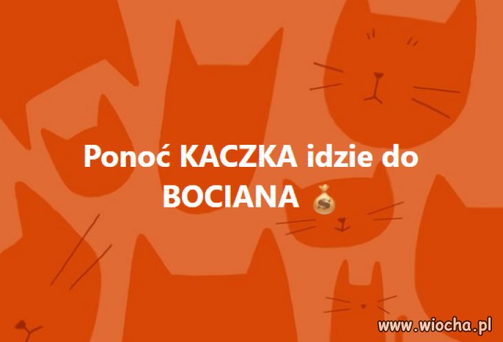 Podobno tylko tam mają szansę na kredyt 