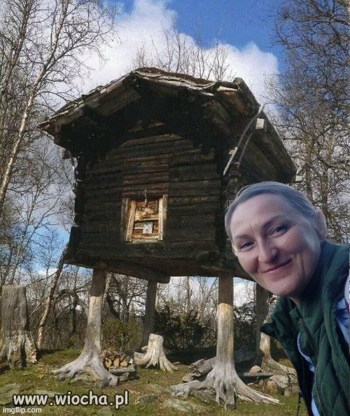 Bracia Grimm kłamali! Wiadomo, to Niemcy!