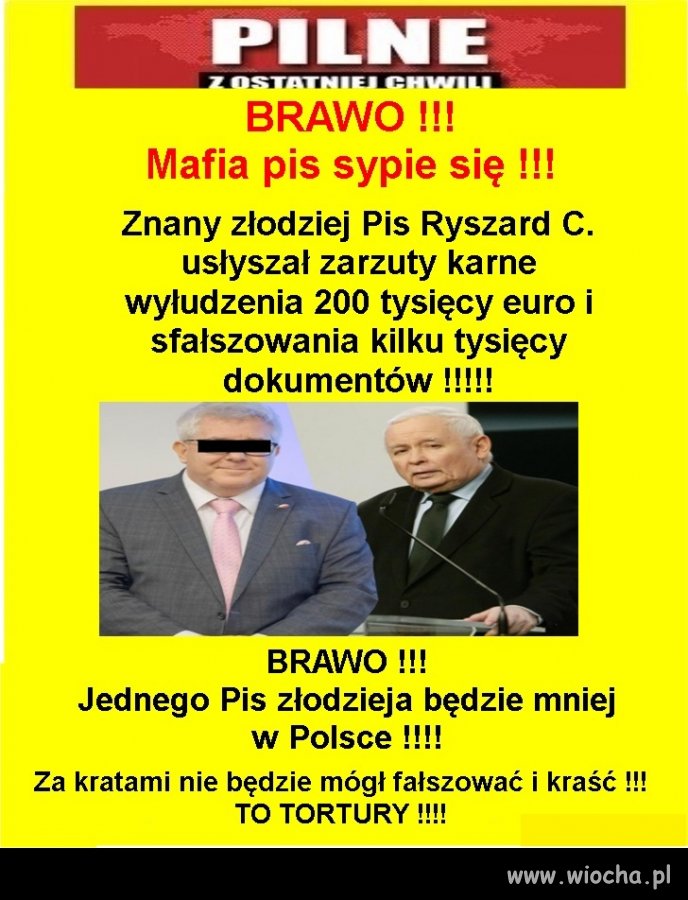 Ciekawe, czy będą pikiety pisowców pod aresztem ?