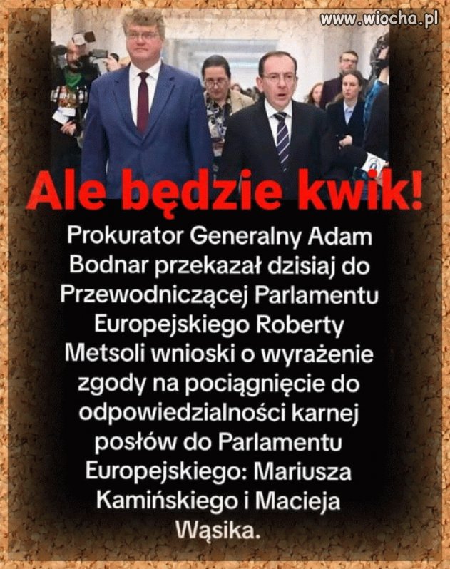 Nie odpuszczać tym pisowskim degeneratom
