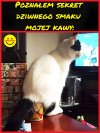 Smacznej kawusi.