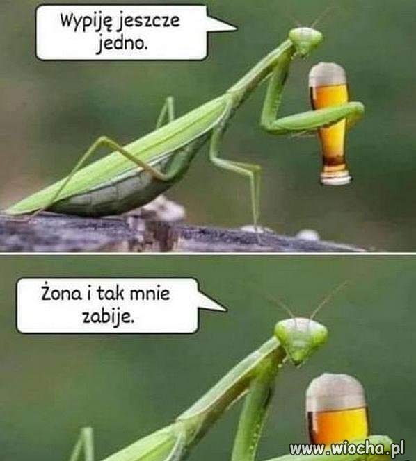 Życiowa prawda 