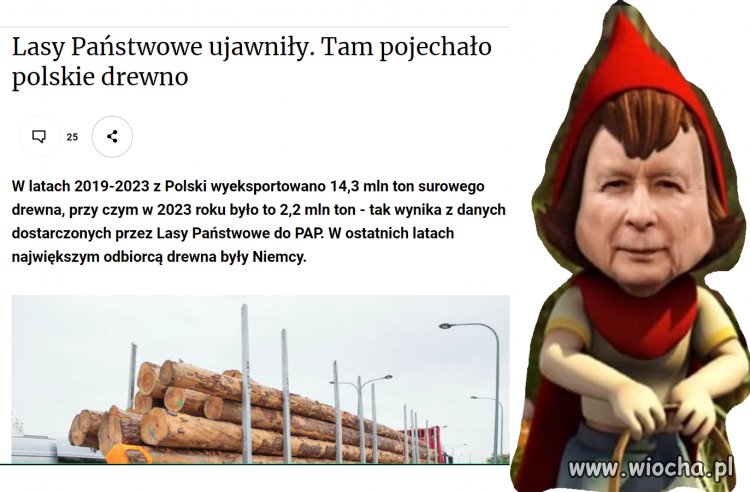Coś dla pisowskich tumanów