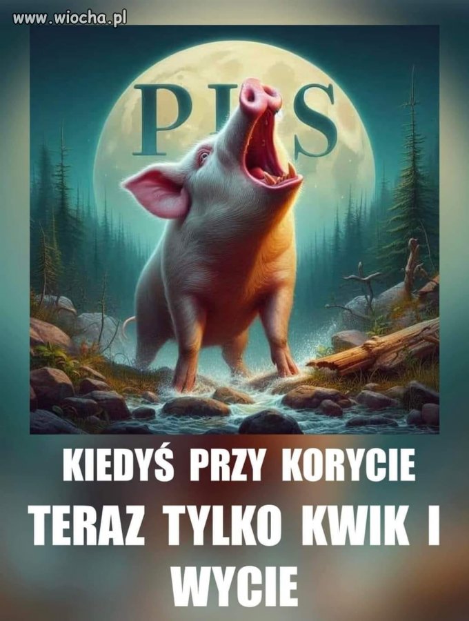 Ten kwik się teraz po całej Polsce roznosi ...