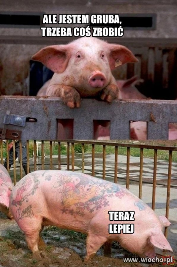 Gruba pijesz?