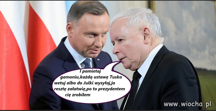 Wuc, gamoń
