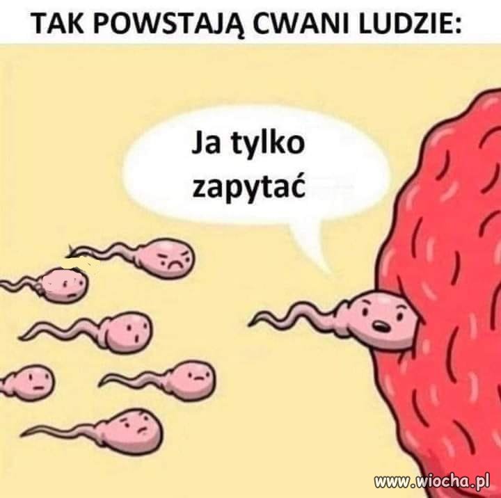 Nie wiem dlaczego, ale tutaj pasuje aktor