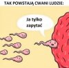 Nie wiem dlaczego, ale tutaj pasuje aktor