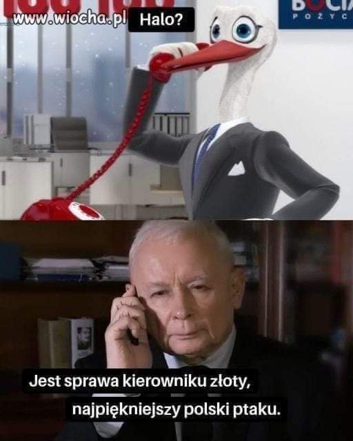 Jarosław dzwoni