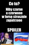 Zagadka pana Tadka