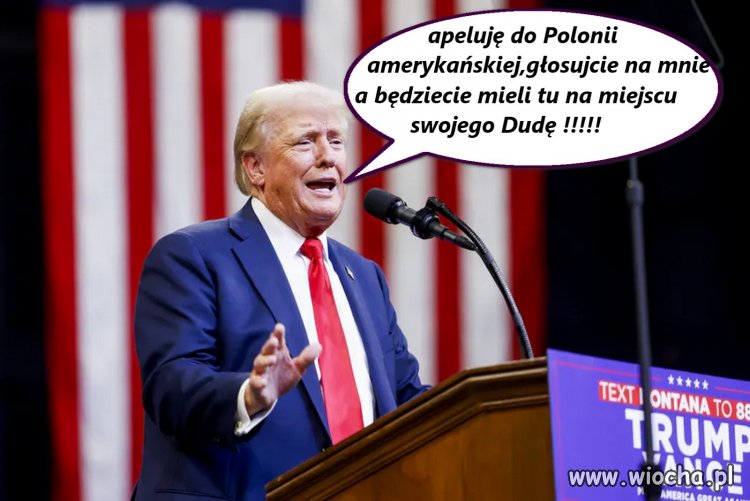 Wolacy w Hameryce