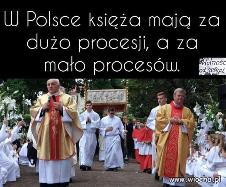Indie mają "święte krowy" a Polska bezkarną sektę kościoła!
