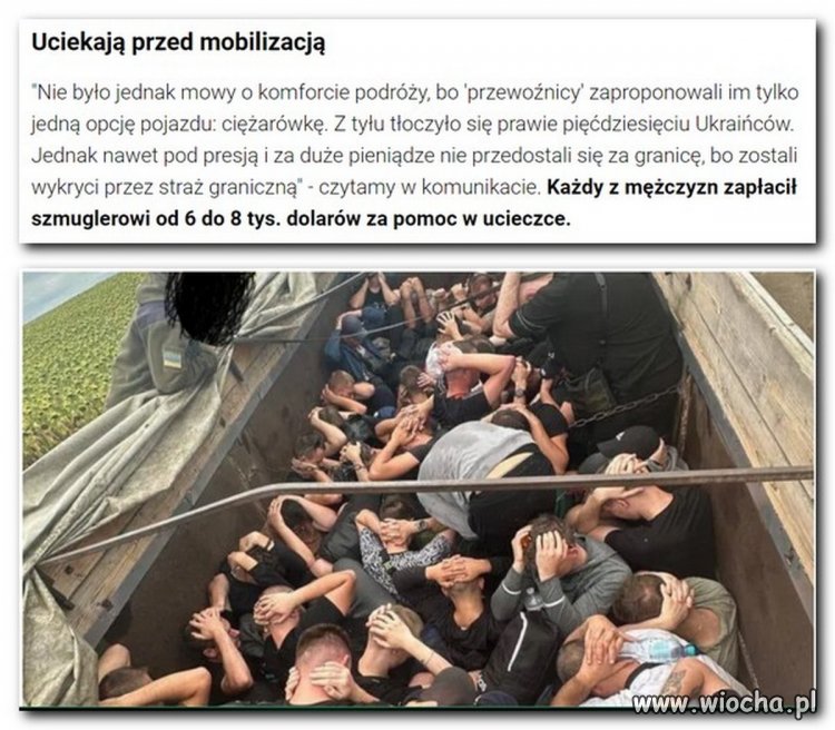 No i na ch...walczyć za samostijną