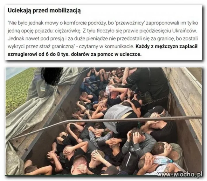 No i na ch...walczyć za samostijną