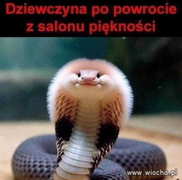 Karyna po wszystkich socjalach.