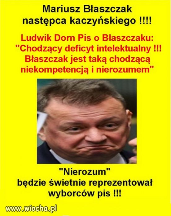 Błaszczak pasuje do poziomu intelektu wyznawców Pis