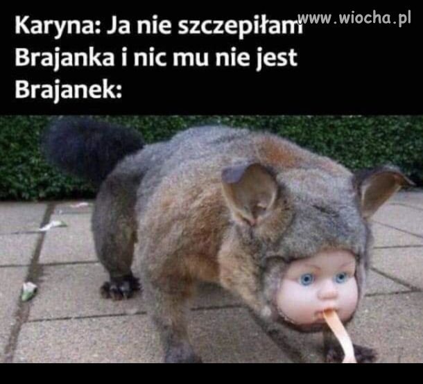 Brajanek.