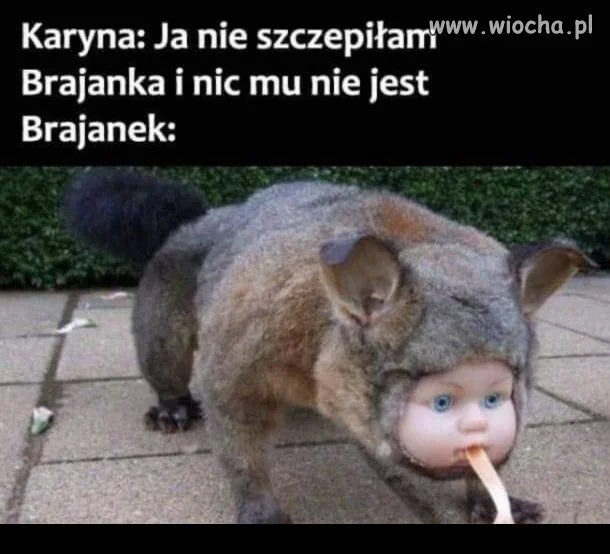 Brajanek.