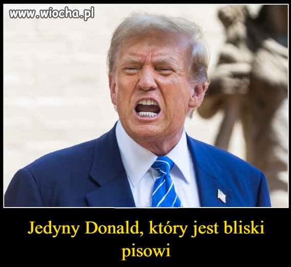 Także liczy na prymitywny elektorat