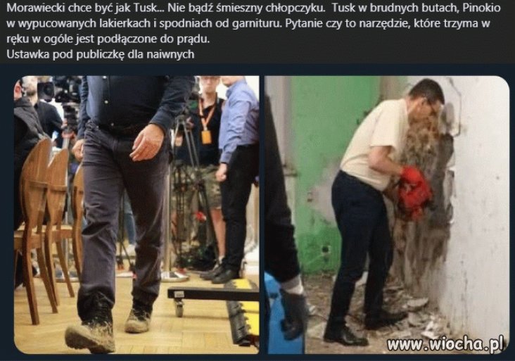 Pisowskie baranki i tak to łykną
