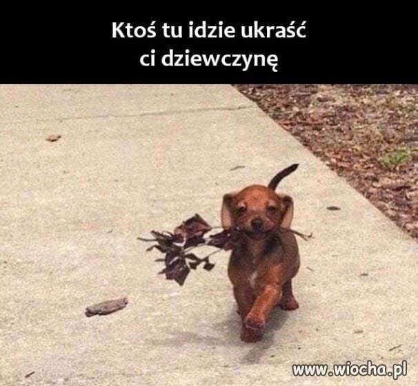 Uważaj...