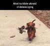 Uważaj...