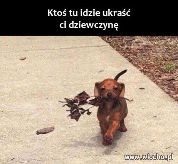 Uważaj...