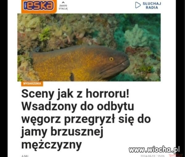 Prawak szukał wrażeń i znalazł.