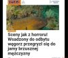Prawak szukał wrażeń i znalazł.