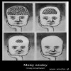 Wiadomo dlaczego elektorat PiSu niczym się nie przejmuje!