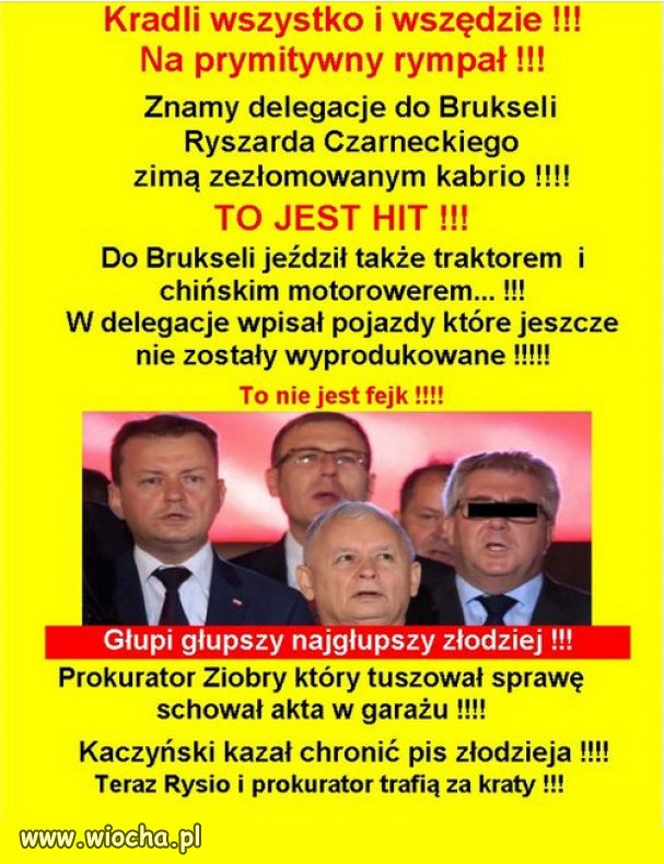 "Co większe niż wesz, to bierz!" - program polityczny PiSu!