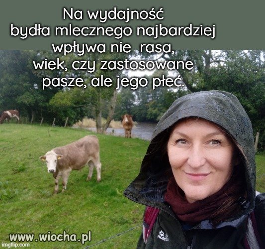 I  na nic lewackie gadki 