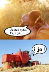 Buszujący w zbożu,