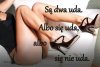 Z serii...mądrości narodowych