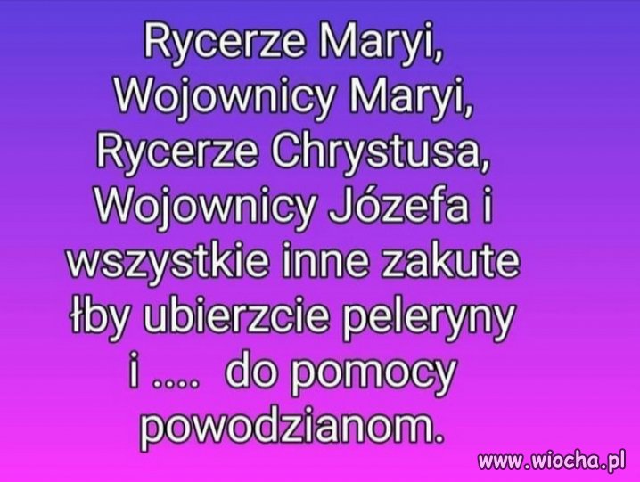 Przecież oni nic nie potrafią, oprócz klęczenia.