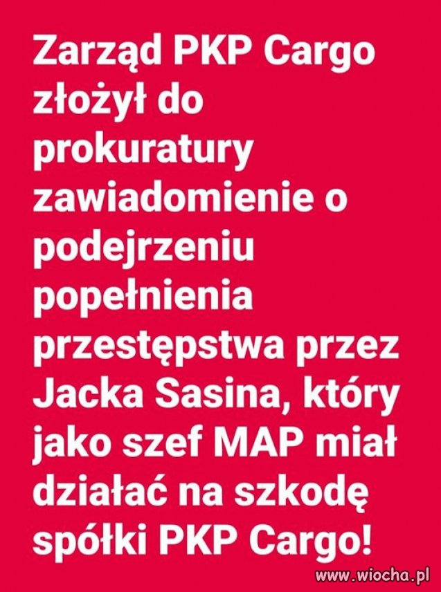 Sasin ty knurze