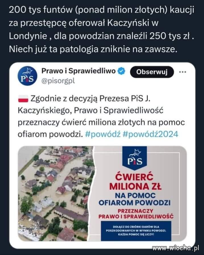 Poznaj chamskość