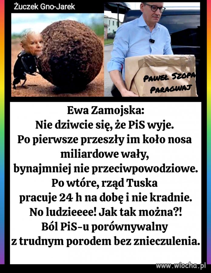 Oj, boli to PiSowców, boli !