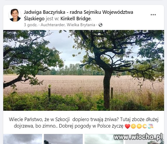 Jakby Brytole czcili Mateńkę Najświętszą