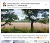 Jakby Brytole czcili Mateńkę Najświętszą