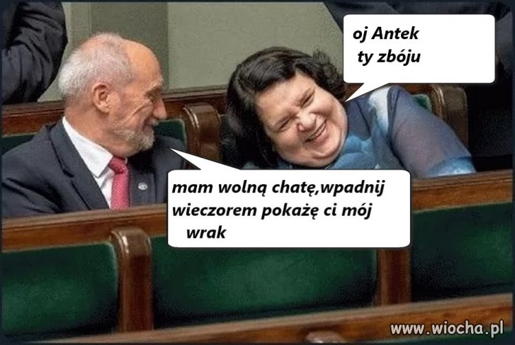 Antek to Antek
