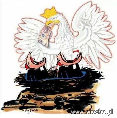 Zbyt wiele Orzeł Biały