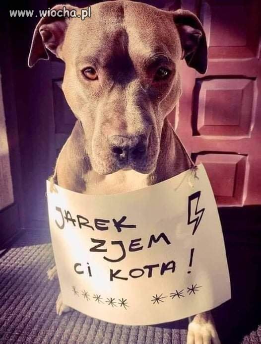 Jarek