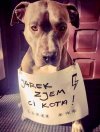 Jarek