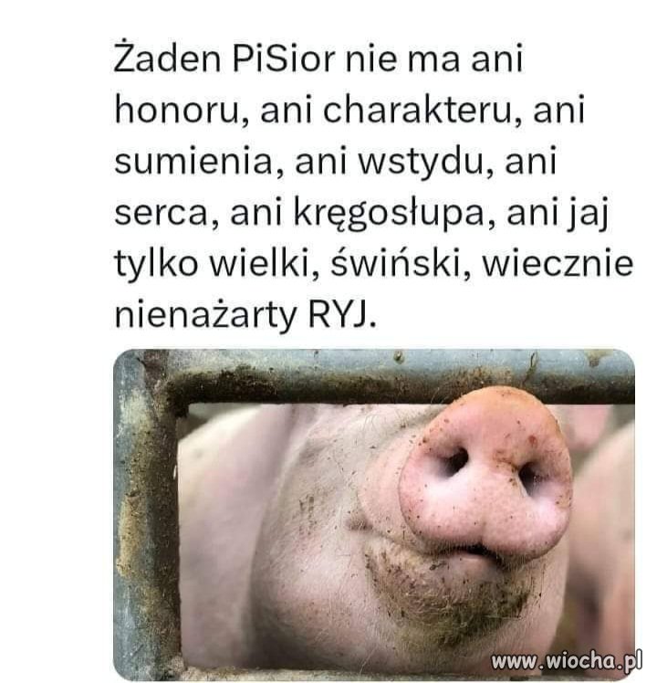 Tak patrzę to oni by własną matkę