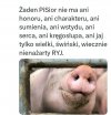 Tak patrzę to oni by własną matkę