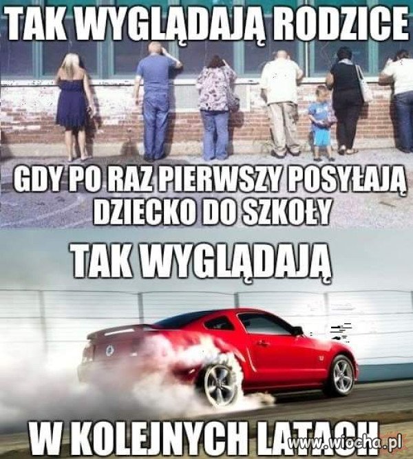 Potwierdzam.