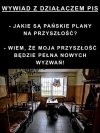 Mam precyzyjnie określone plany