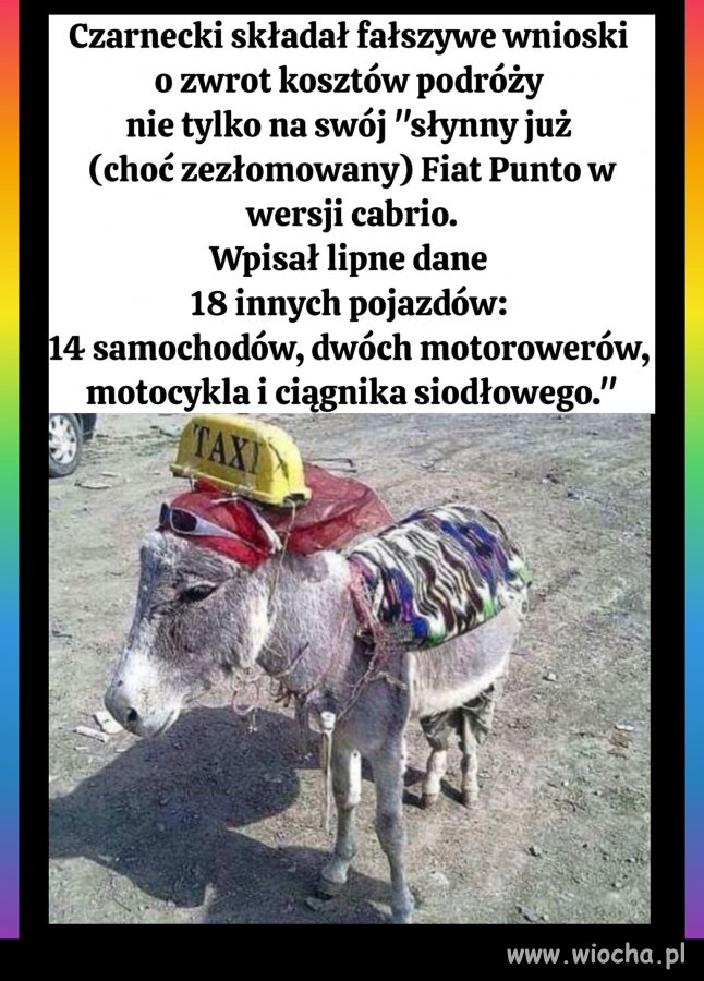 Ciekawe, ile rachunków na owies przedstawił ...