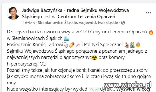 Wolski Język Literacki -PiSanalfabetyzm